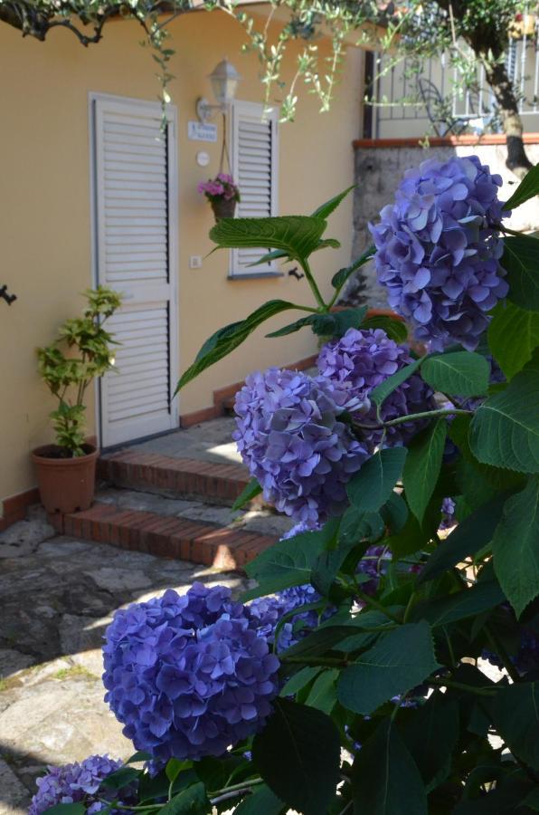 Maison Brinati Bed And Breakfast Monsummano Terme Екстериор снимка